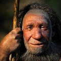 Human Apex Predator