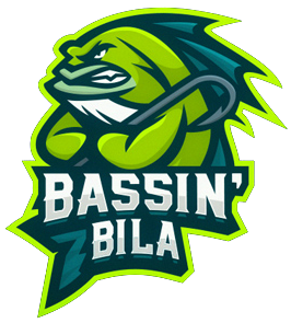 Bassin 7 Bila