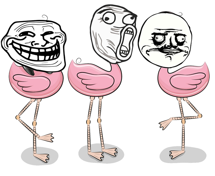 Die Flamongos