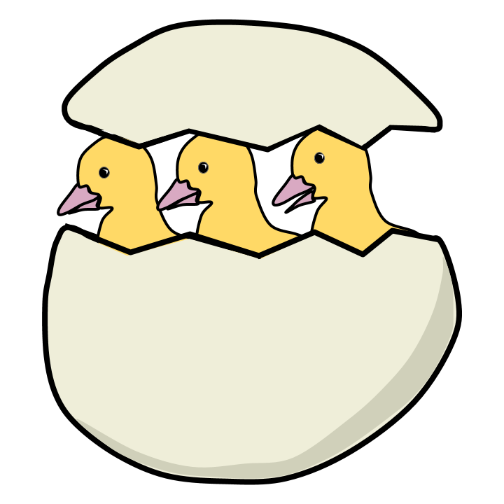 Ducklings