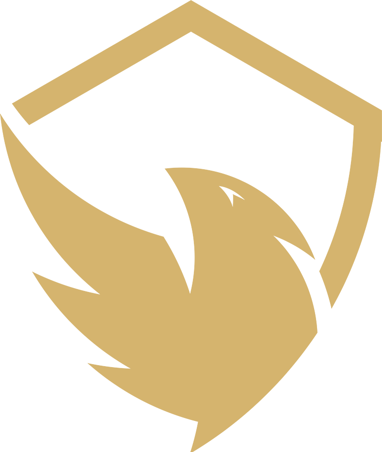 Reven Esports