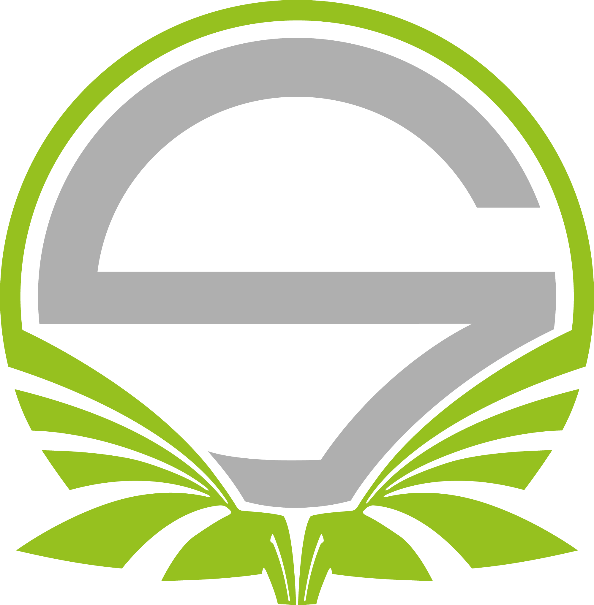 Team Singularity