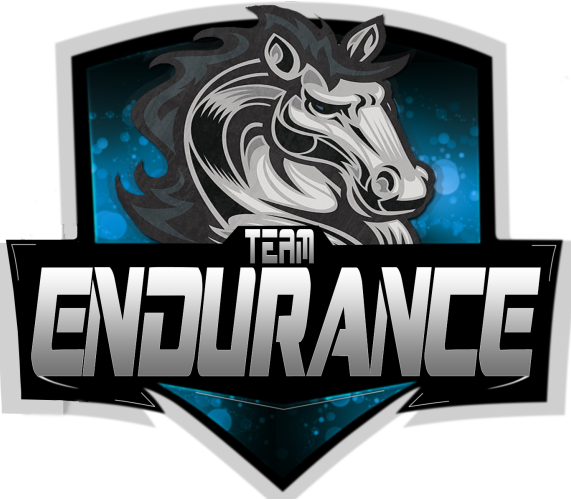 Team Endurance