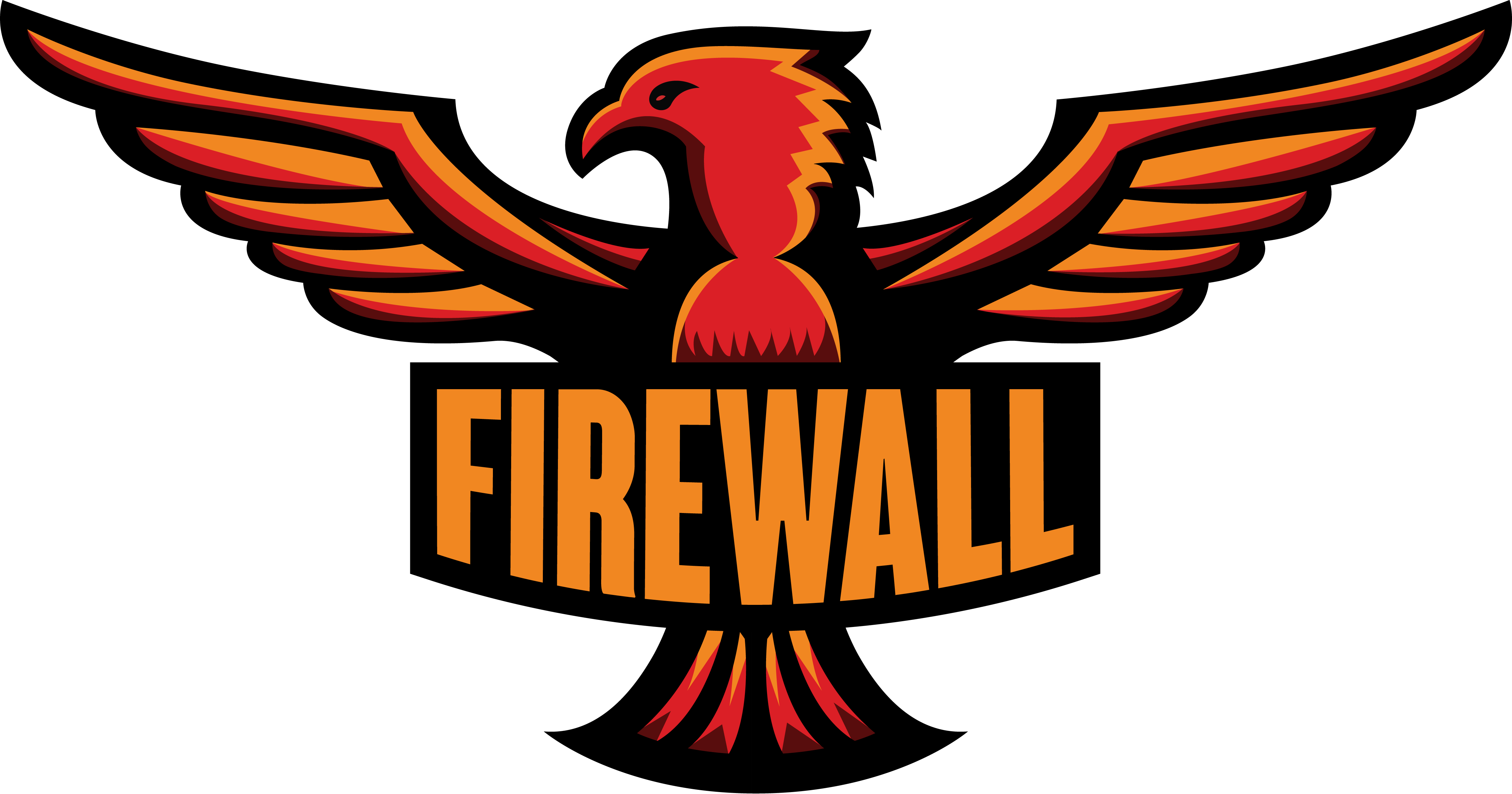 Team FireWall