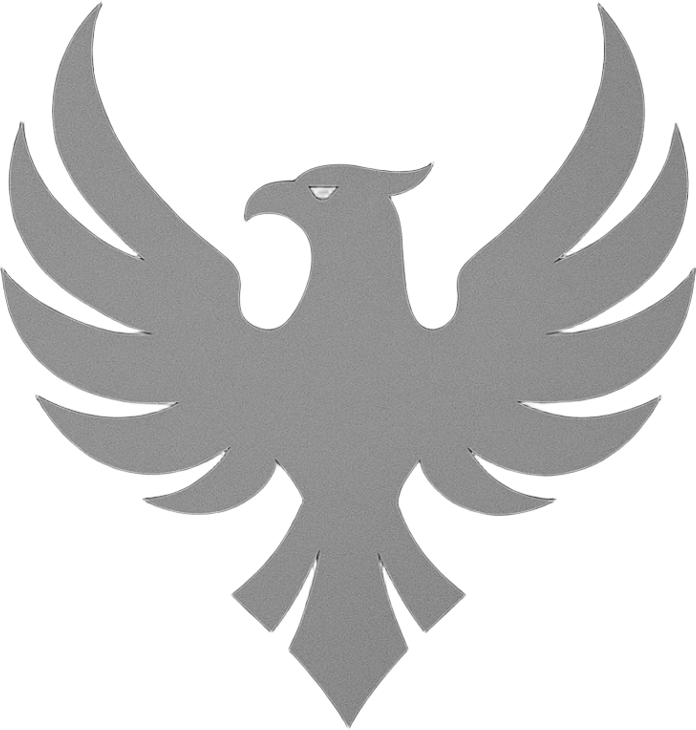 Team Phoenix