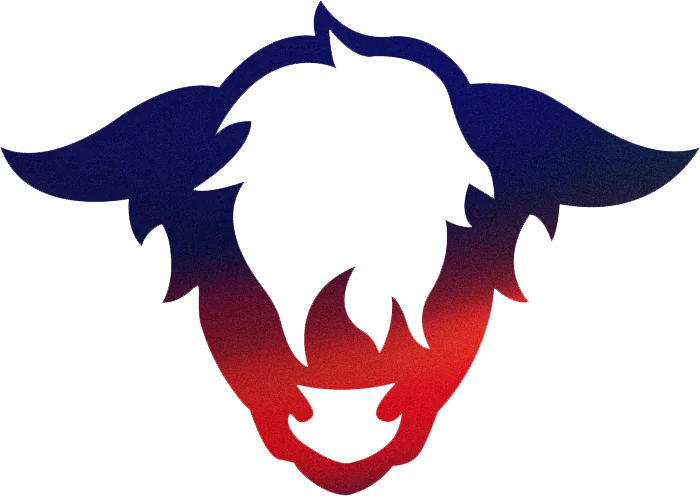 Team Shazoo