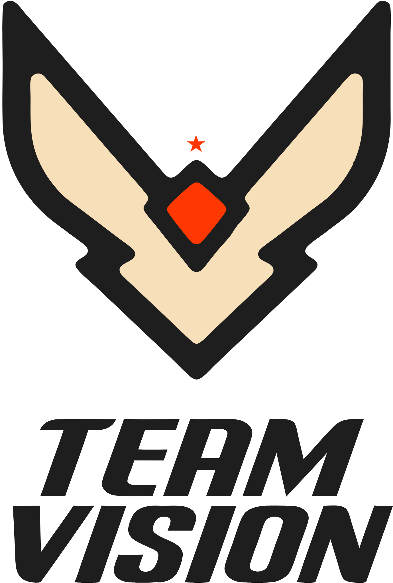 Team Vision