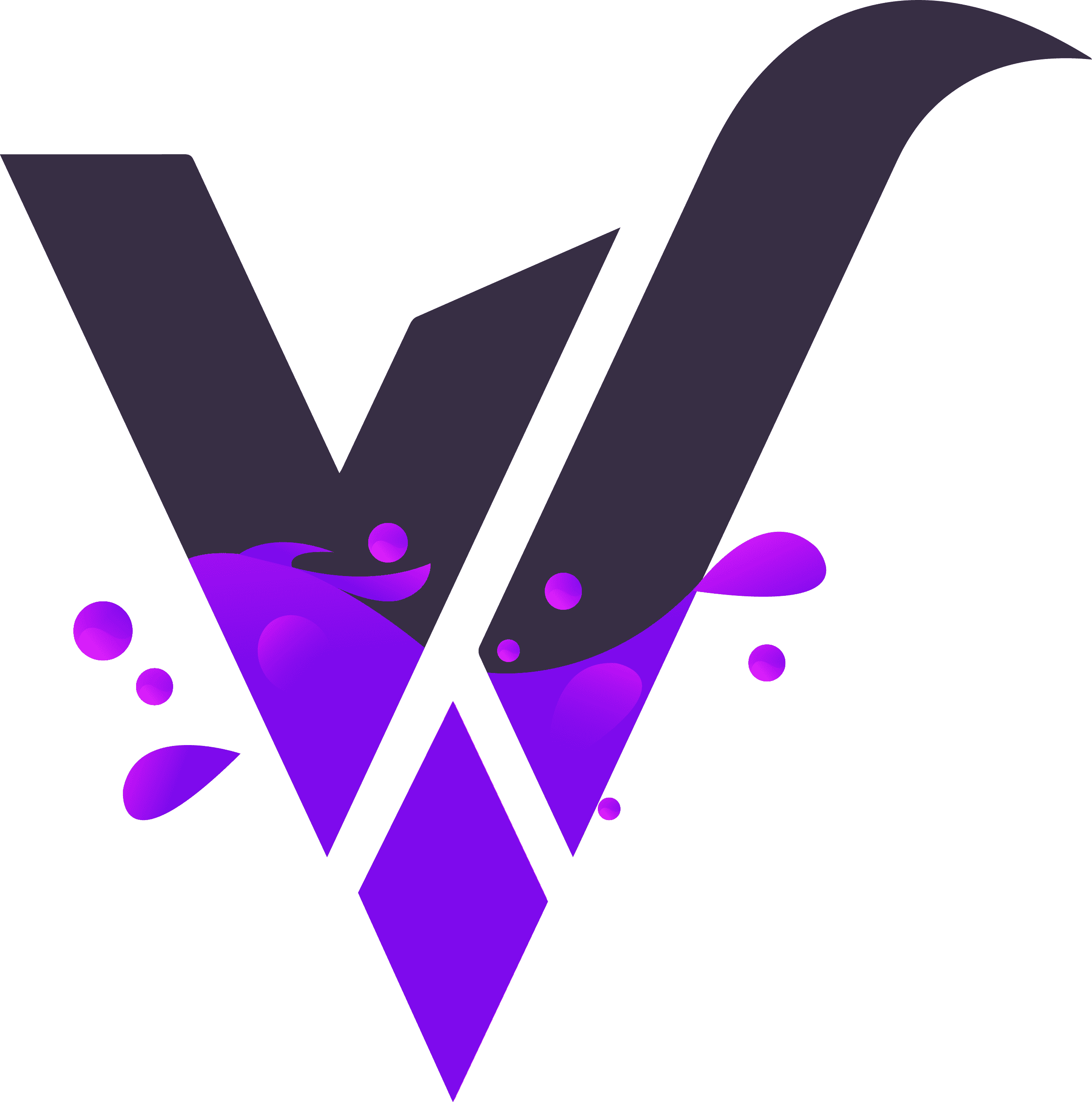 Team WaVii
