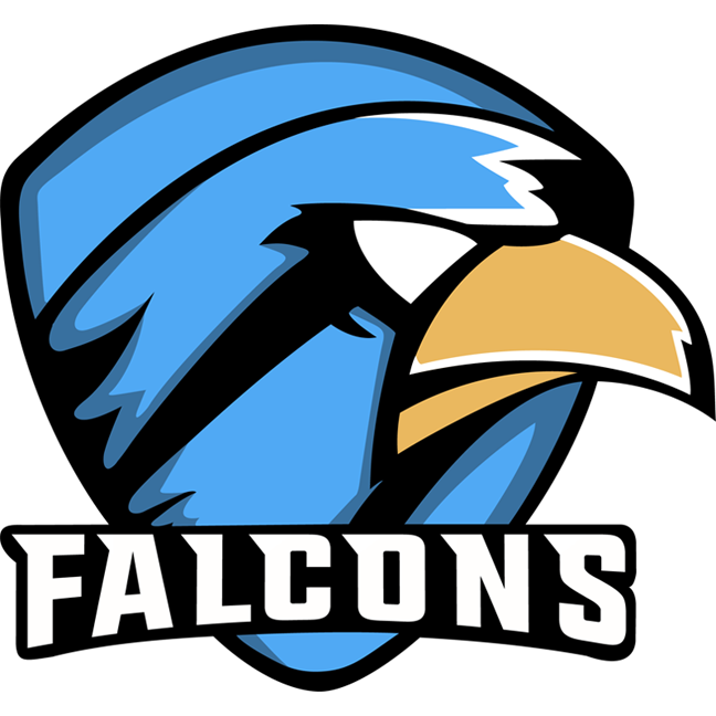 ToxicFalcons