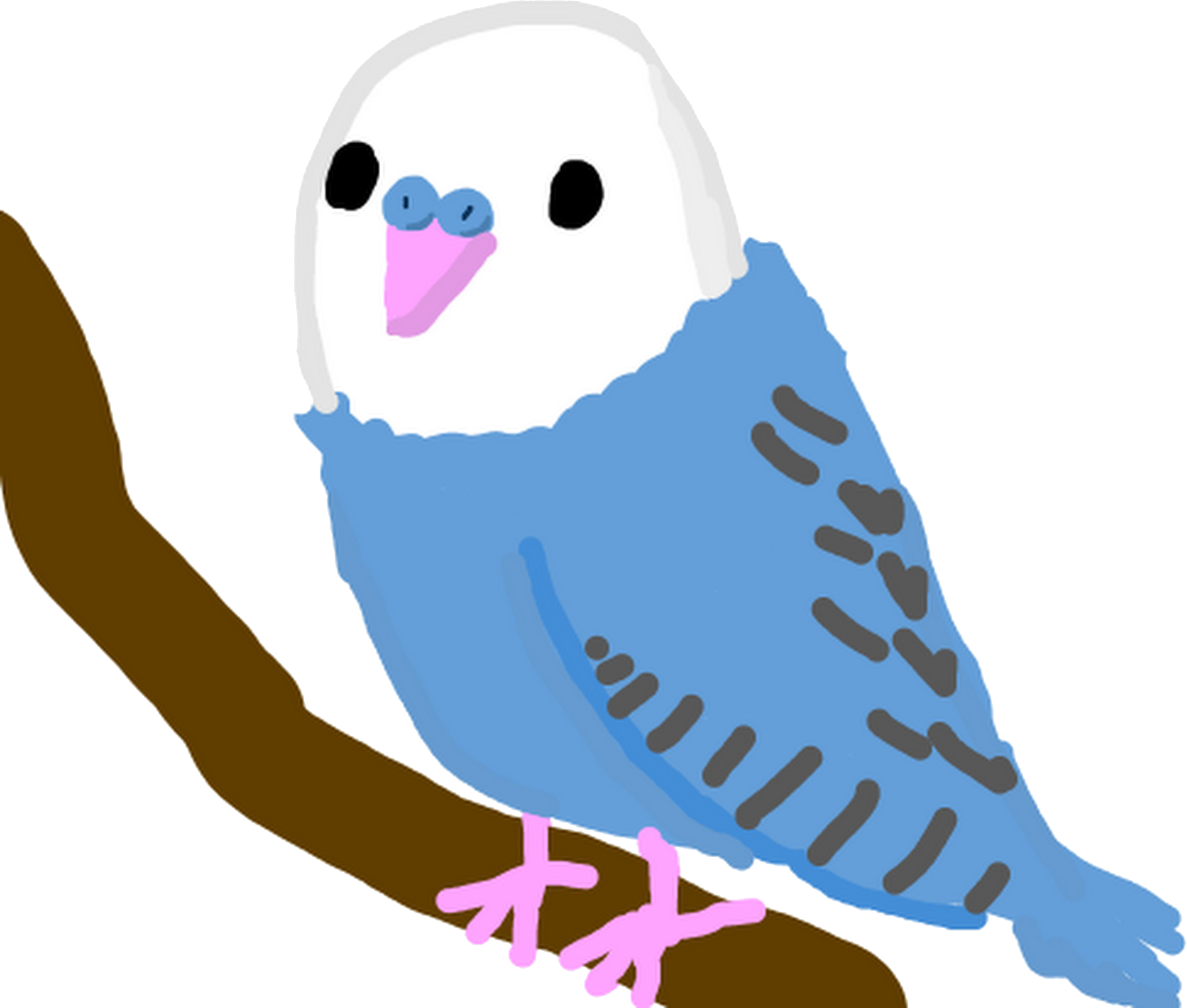True Parrots