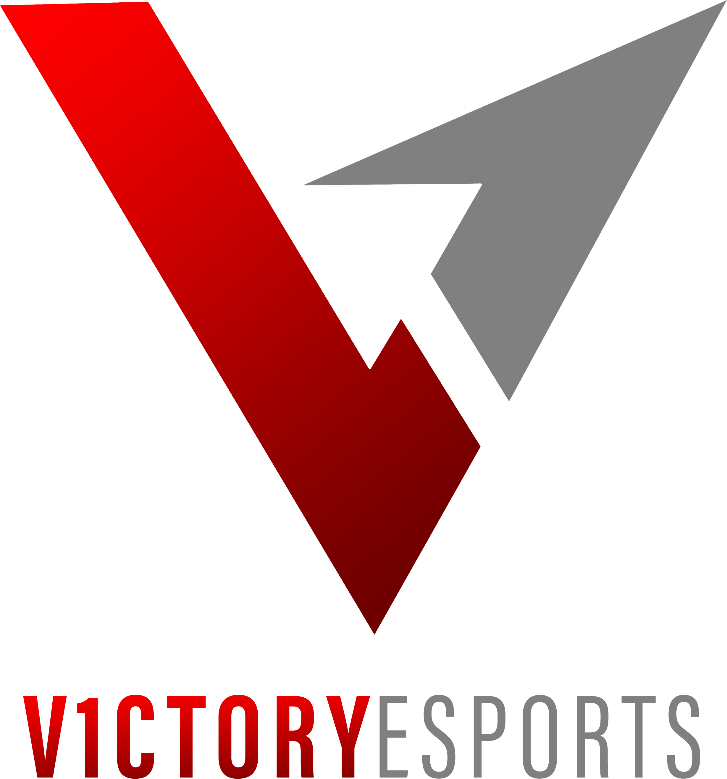 V1CTORY Esports