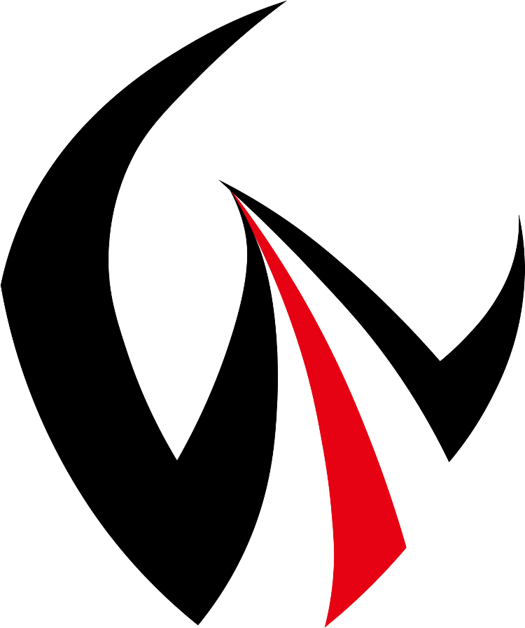 Vainshoes