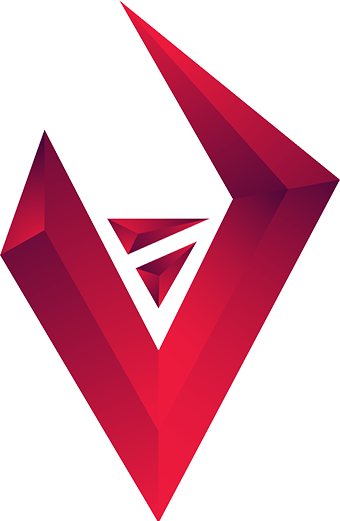 Vizard