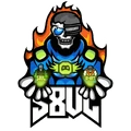 S8UL Esports